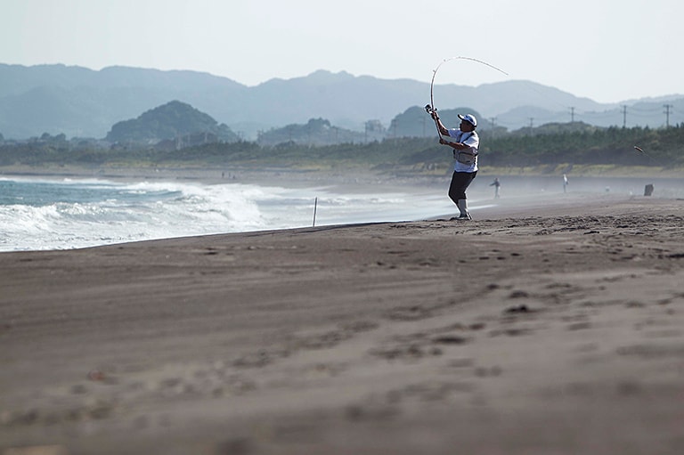 波打ち際にきらめくシロギス