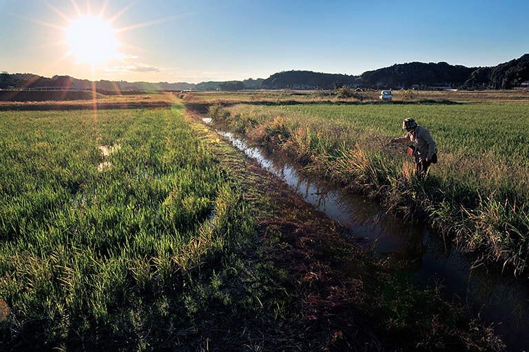 ホソをめぐる冒険
