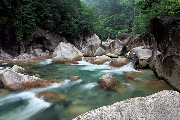 水面を割る渓流魚に興奮!