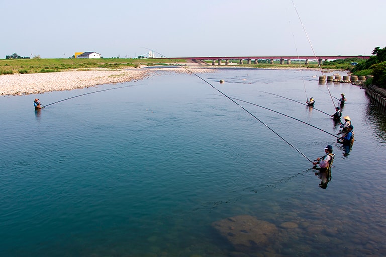 風雅な伝統の毛バリでアユをねらう！初めての「アユの毛バリ釣り」入門