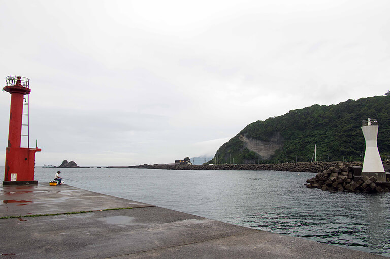 身近な海でイワシやアジをねらう！初めての「堤防のサビキ釣り」入門