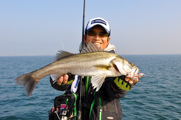 初めての「シーバスルアー釣り」入門