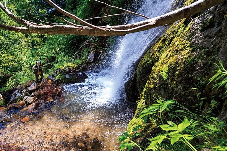 初めての「源流のイワナ釣り」入門