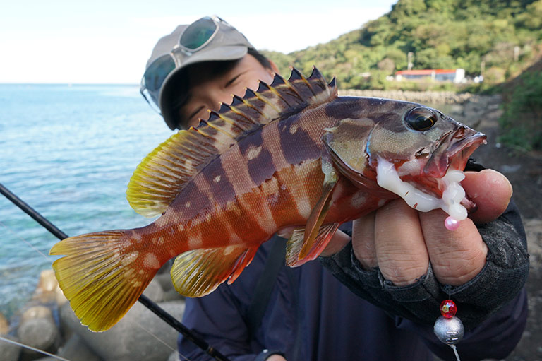 初めての「ブラクリ」入門