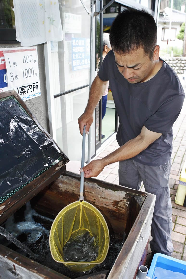 まず、イケスや水槽からオトリをすくってタライなどに数匹を移す。この手順はお店の人がやってくれる場合が多い。オトリカンにも水を多めに入れておく