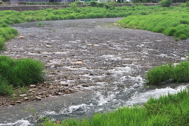 流れの激しいポイントは「瀬」と呼ばれる。体力のある強いアユが多く、アタリも激しいためダイナミックな釣りが楽しめる。ただしオトリ操作には少し慣れが必要