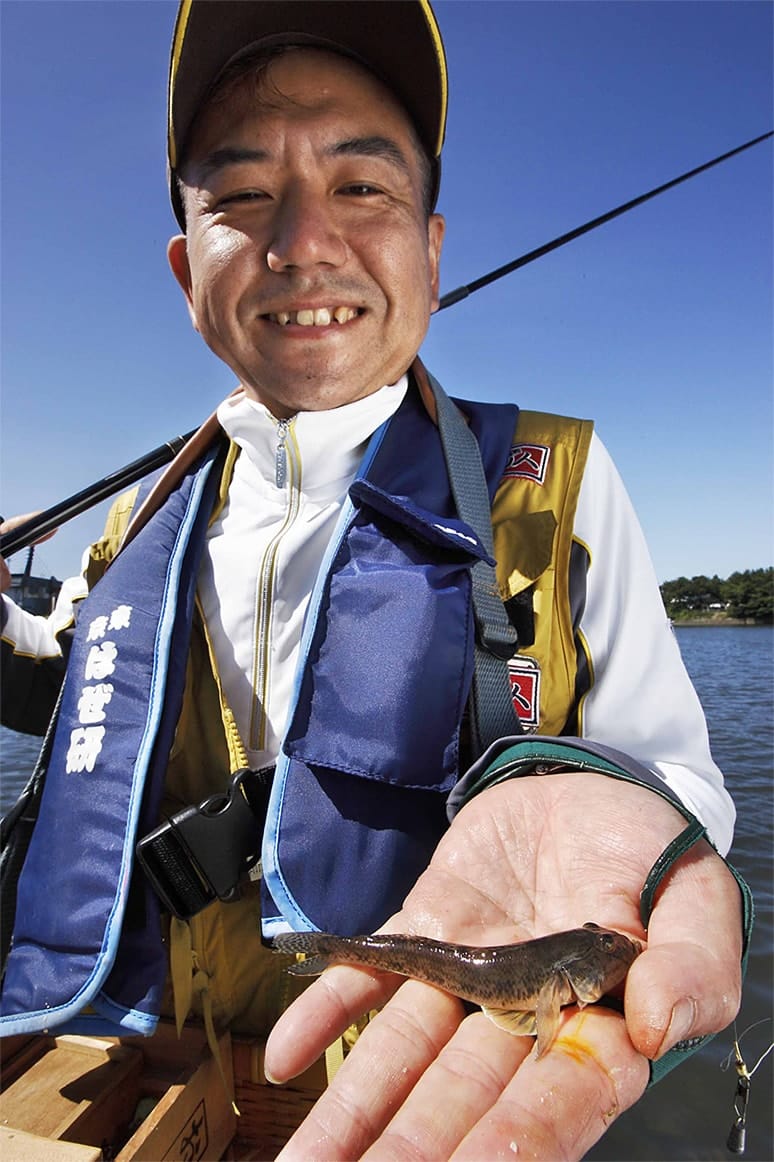 ハゼの寿命は1年。春から初夏に生まれたものが徐々に成長して、夏休みのはじめには10cm前後になる