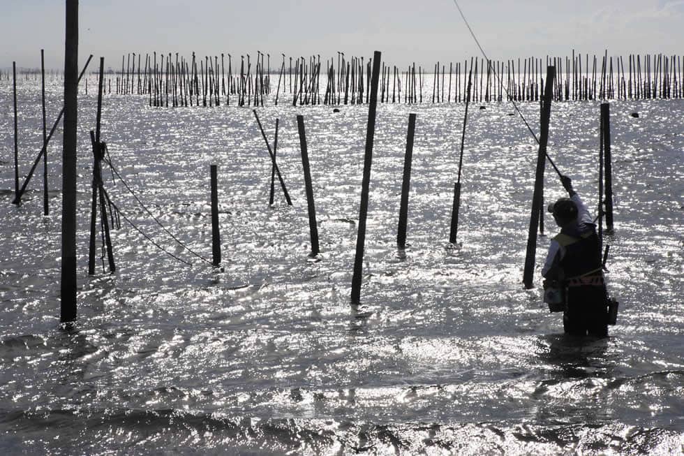 夏のハゼは、淡水と海水の混じり合うエリアに多く集まってくる。そのため、河口付近や海辺の水路、港、船溜まりなどがおもなポイントになる。そのような場所のなかで、海底が砂地になっているポイントがあれば高確率でハゼが生息しているはずだ。ただし、同じ砂底でも外洋に面した砂浜や海水浴場にはほとんどいない。