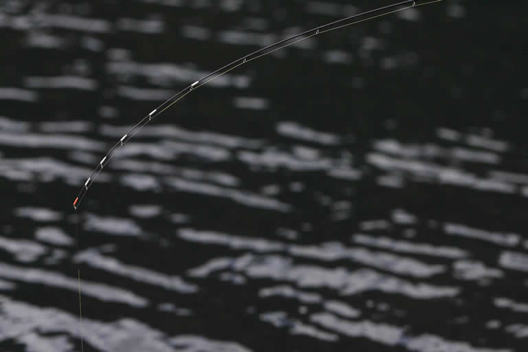 リールのハンドルを巻いて、オモリが少し底を切る状態を作る