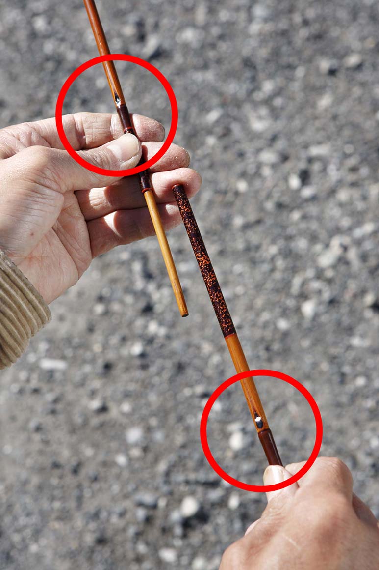 誤った継ぎ方。芽打ちの向きが揃ってしまうのはNG