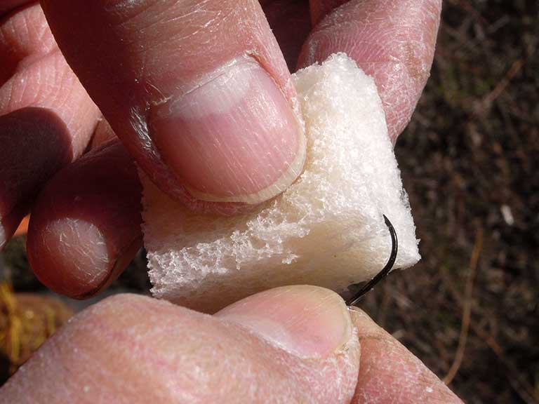 パンをハリに付ける