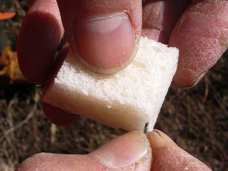 パンをハリに付ける