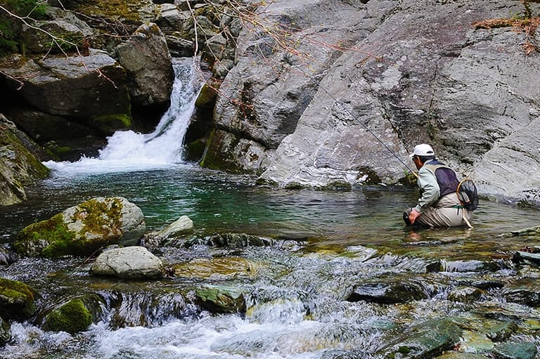 野外で会いたくないイヤな虫対策
