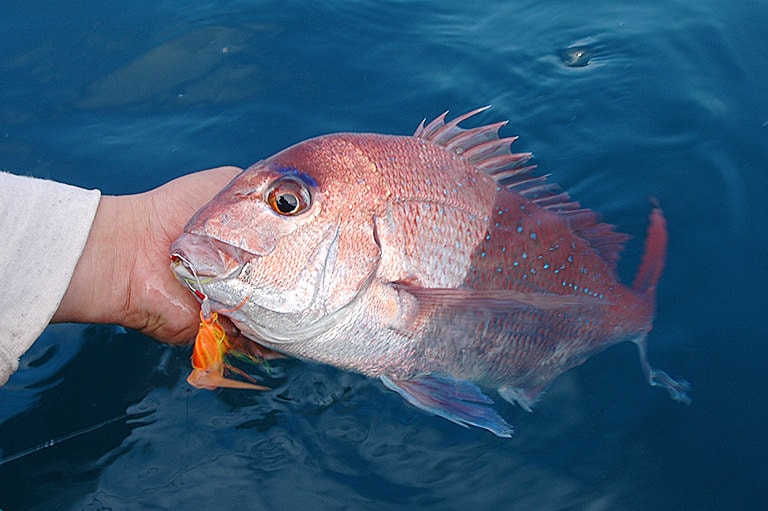 魚がルアーに騙されやすい瞬間とは？