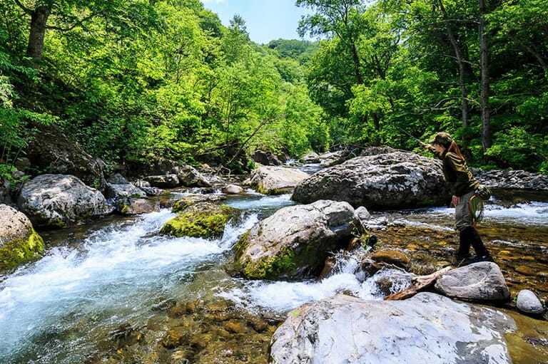 女性ファンも多い「テンカラ」とは？