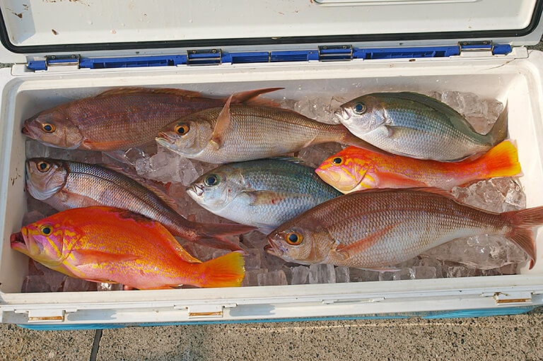 釣った魚を売るのはモラル違反!? 知っておきたい「遊漁」の意味