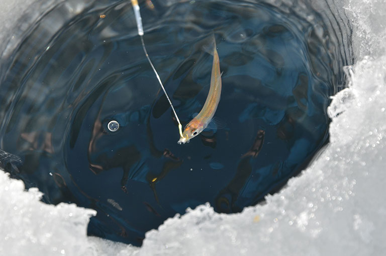 話題のドーム船も氷上釣り場も。人気のワカサギ釣り場10選