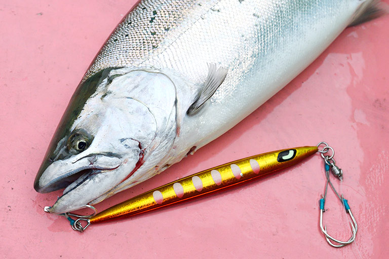 意外に迷う「ジグ」の超基本｜ハリは何本付ける？大きさや形は？