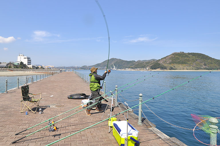 投げ釣りでねらうカレイの魅力！シーズン、釣り方、仕掛けも紹介
