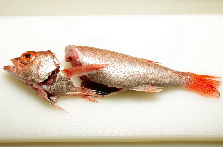 アカムツのさばき方