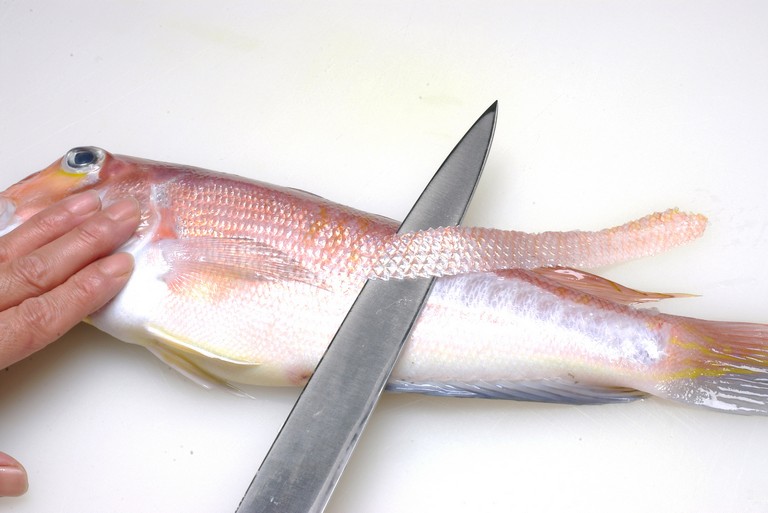 アマダイのさばき方