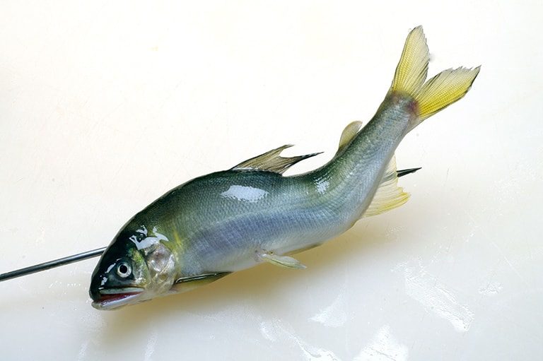 アユのさばき方