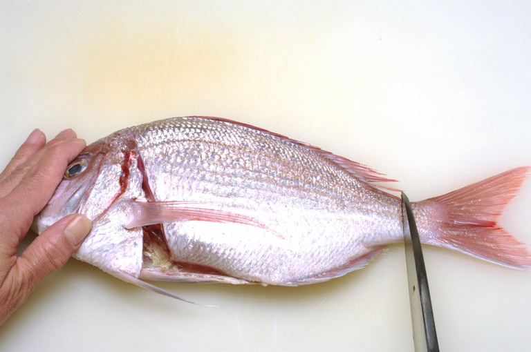 ハナダイのさばき方