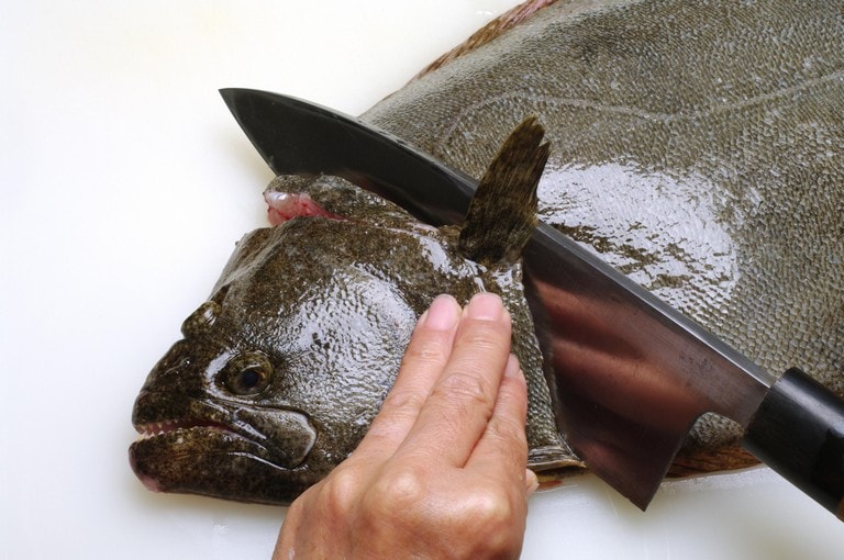 ヒラメのさばき方