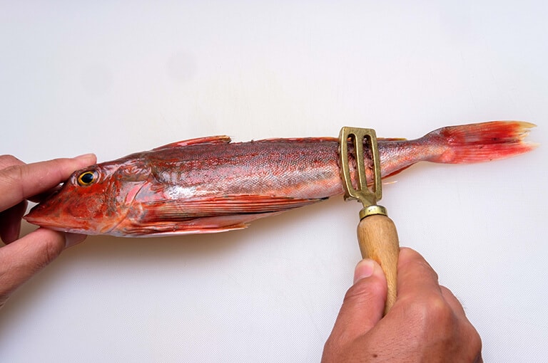 ホウボウのさばき方