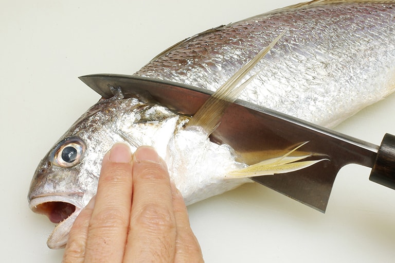 イシモチのさばき方