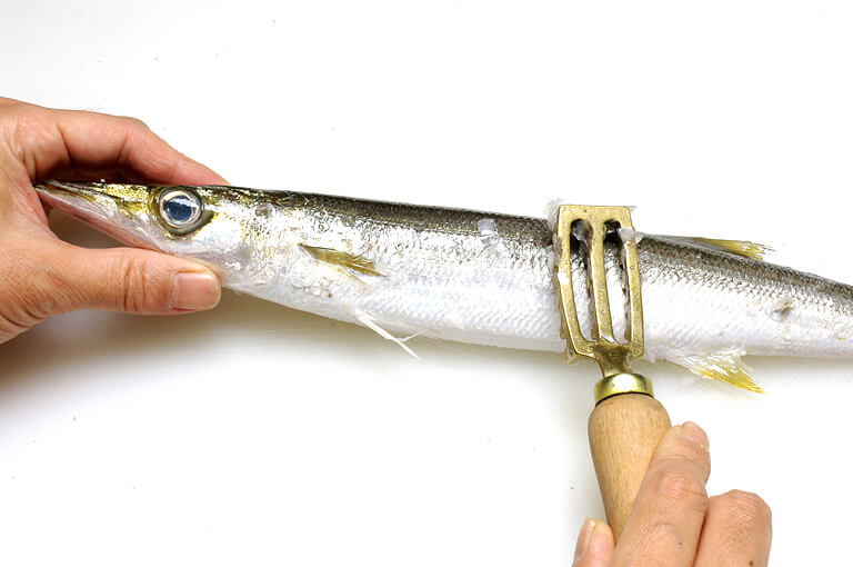 カマスのさばき方