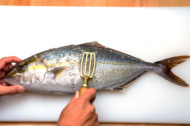 カンパチのさばき方