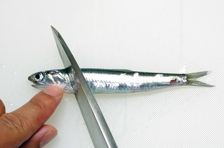 カタクチイワシのさばき方