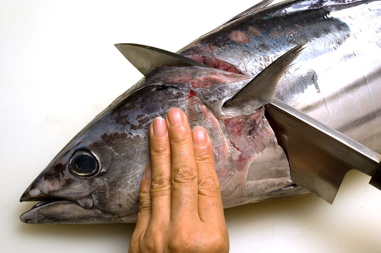 カツオのさばき方