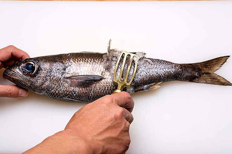 クロムツのさばき方