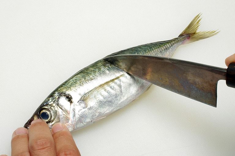 マアジのさばき方