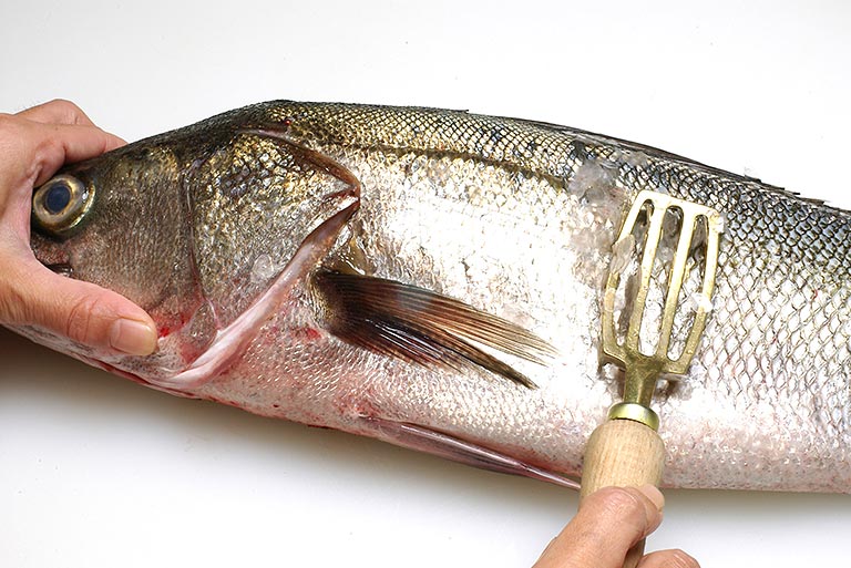 スズキのさばき方