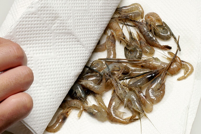 テナガエビのさばき方