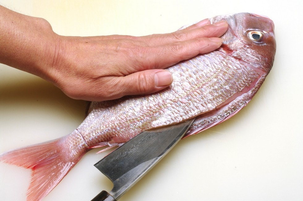 背ビレから中骨に沿って包丁を入れ、尾の付け根まで上身を切り開く。