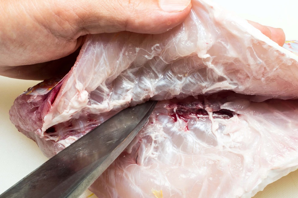 このあとの作業をスムーズにするワンポイントとして、中骨主骨と腹骨の接合部にある軟骨を包丁の切っ先で切り離す。