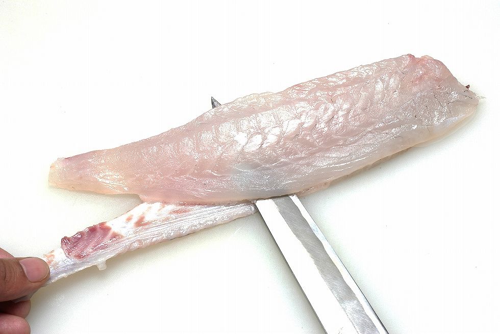 最後に尾の付け根を押さえ、皮を引けば刺し身用の節の出来上がり。