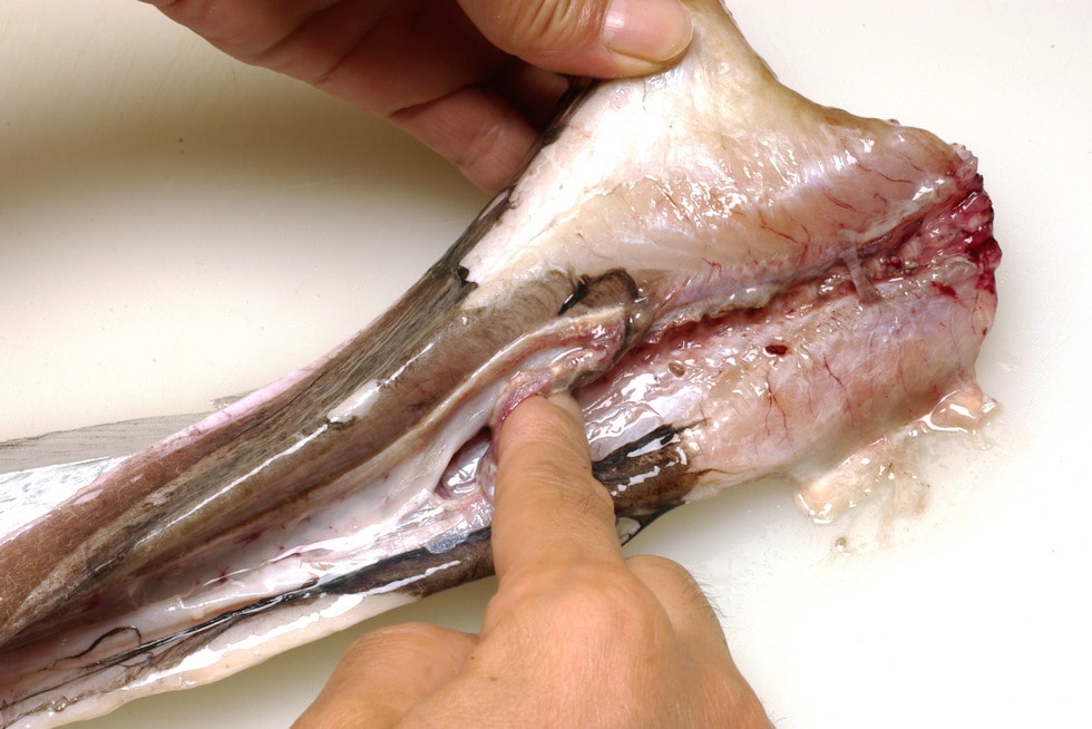 中骨主骨に付着している血合いを爪先で取る。簡単にできるが歯ブラシを使ってもよい。