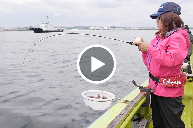 LT（ライトタックル）アジ釣り入門講座