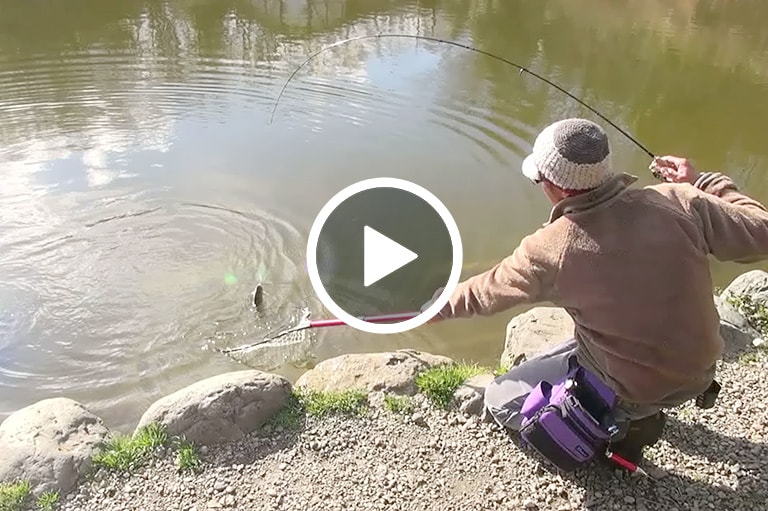 エリアフィッシング入門講座