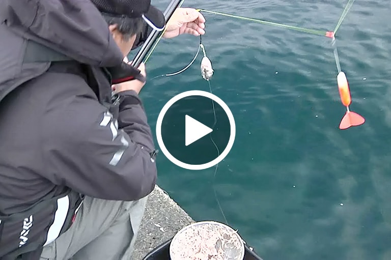 カゴ釣り入門講座