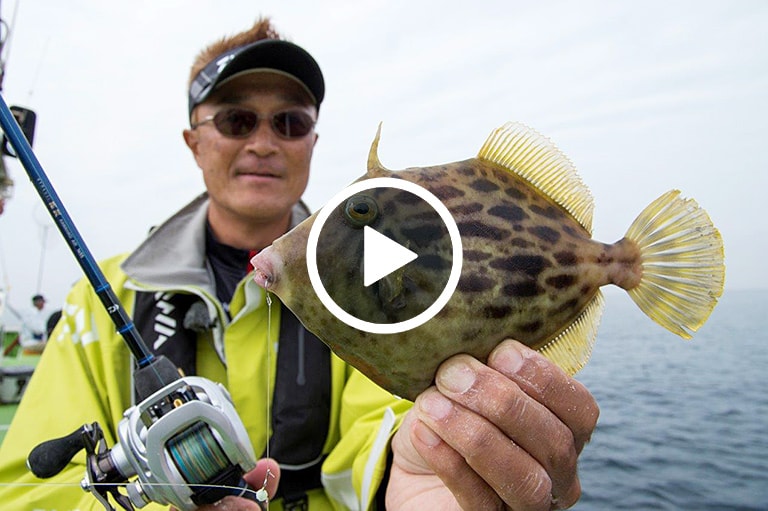 カワハギ釣り入門講座