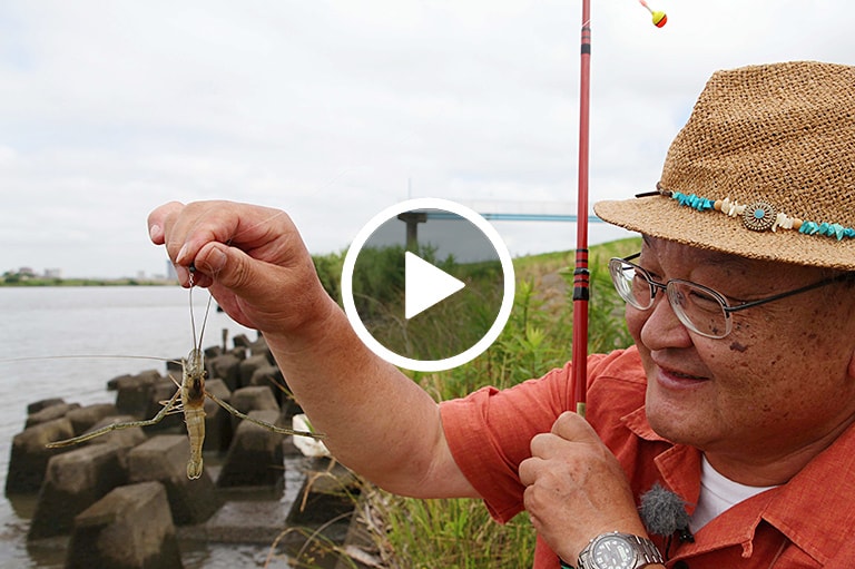 テナガエビ釣り入門講座