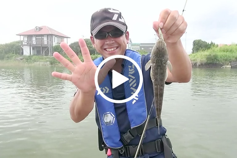 汽水域のライトゲーム入門講座