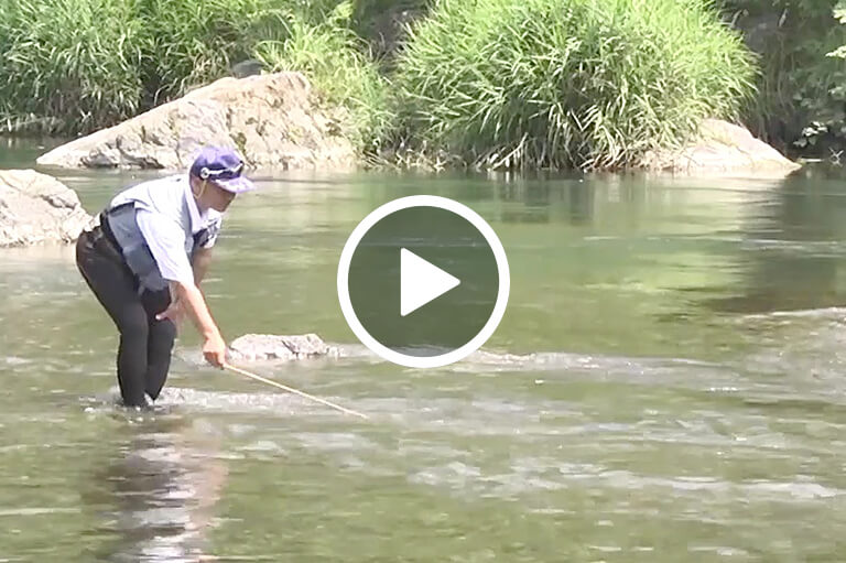 オイカワ、ウグイと遊ぶ「ピストン釣り」入門講座