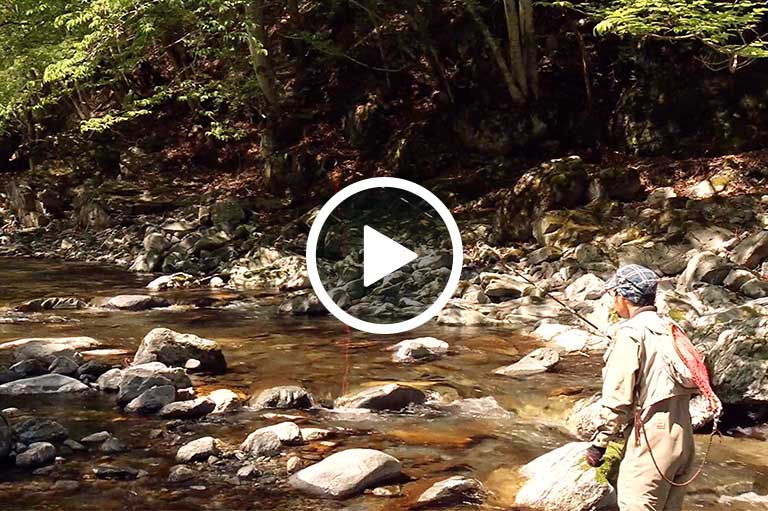 テンカラ入門講座